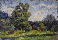 Виктор Эндеберя, 1955 г.р. Этюд №3 Холст, масло
